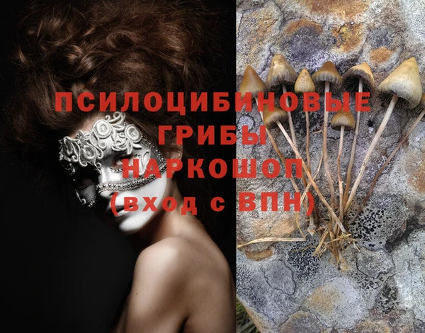 соль ск Алзамай