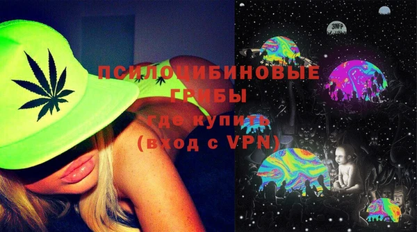 твердый Осинники