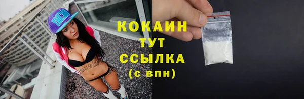 хмурый Аша