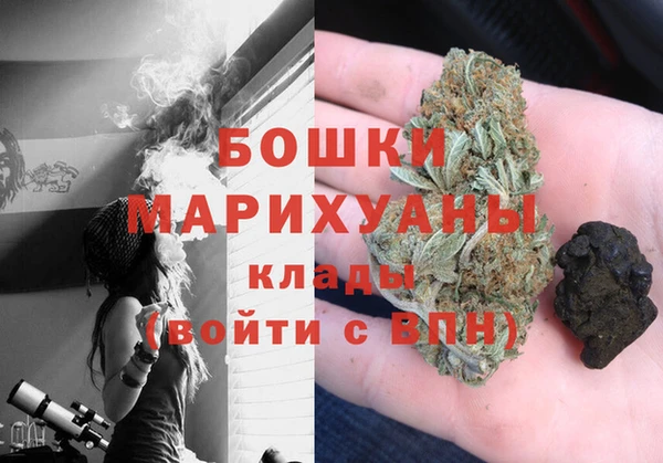 твердый Осинники