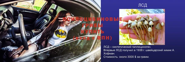 соль ск Алзамай
