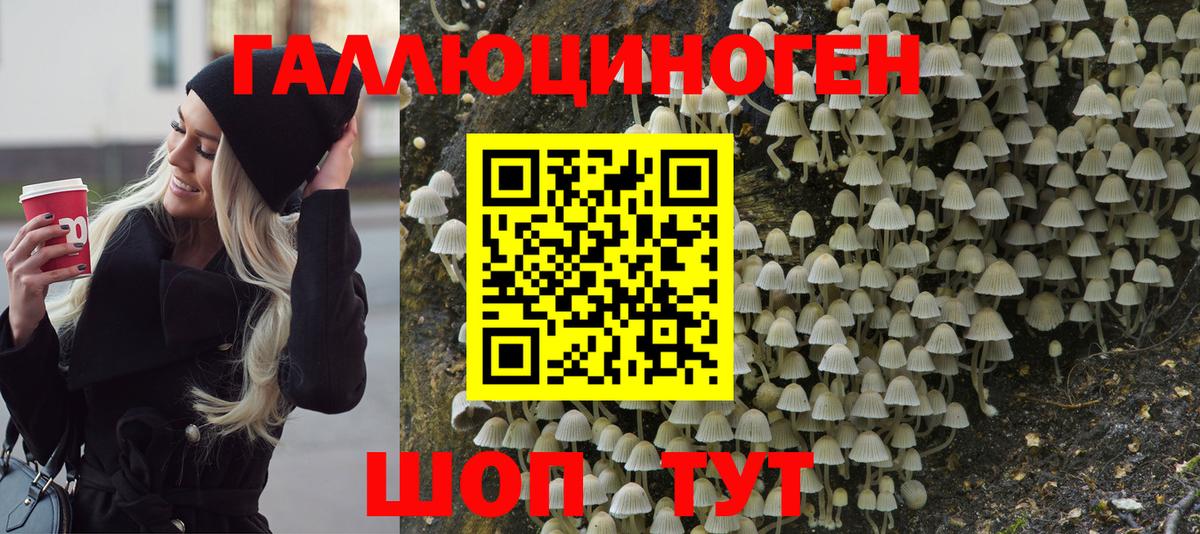 Старая Купавна  Героин  Cocaine  Каннабис  Меф МЯУ МЯУ кристаллы  Каннабис  Наркошоп  Вход с VPN  ГАШИШ 