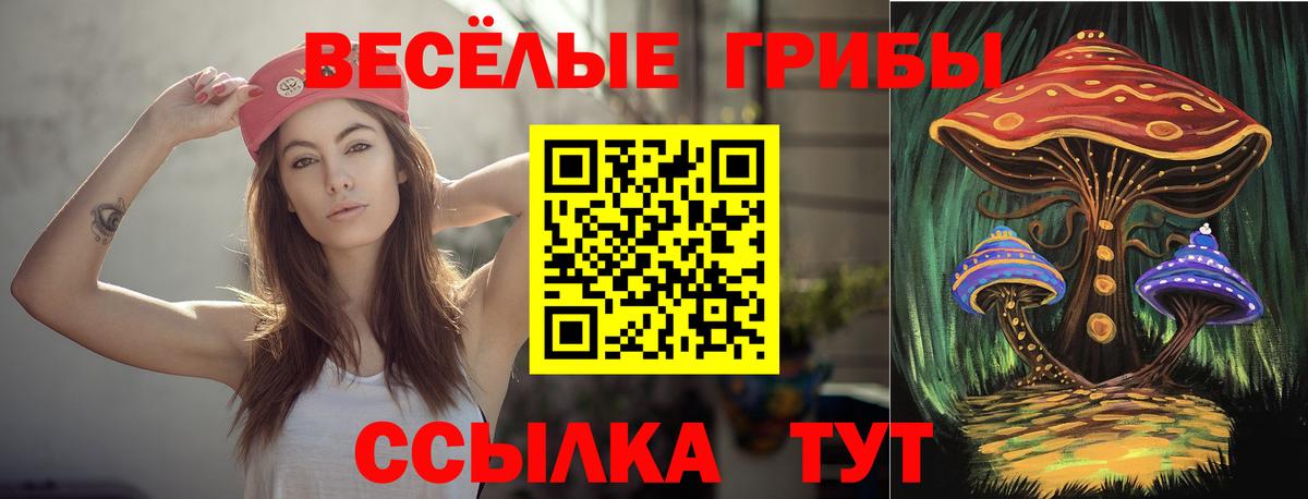 Старая Купавна  Псилоцибиновые грибы Cubensis  Вход с VPN 